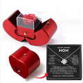 Red apple gift box with rose and necklace