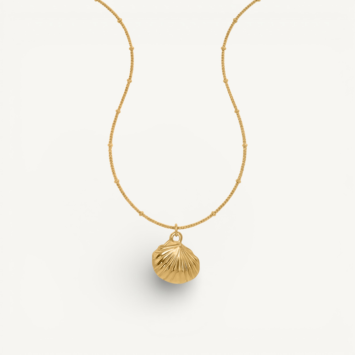 Shell Pendant Necklace with Beaded Chain